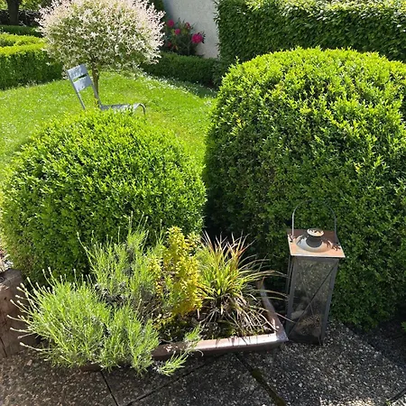 Apartment Lotti Im Gruenen